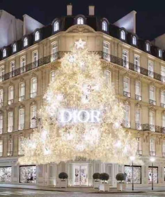 Chanel Avenue Montaigne & Elysees 4 Guests Appartement Parijs